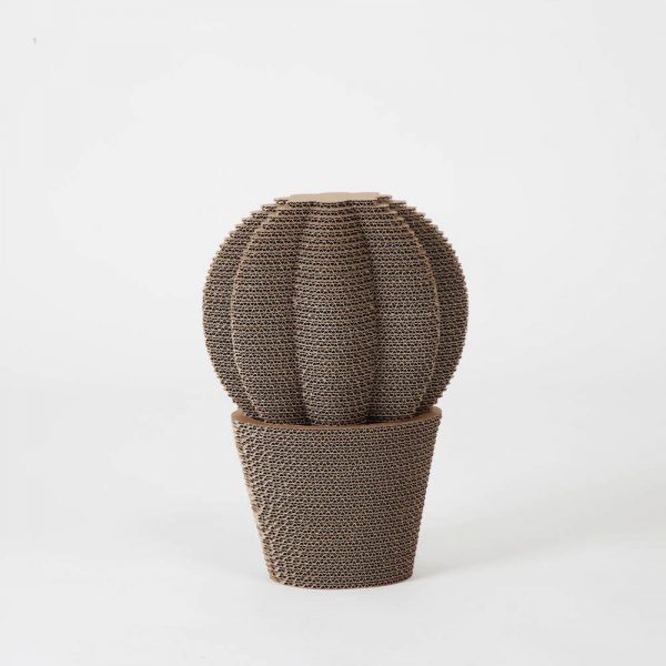 cactus_cardboard_round