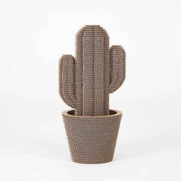 Cactus Saguaro Medium