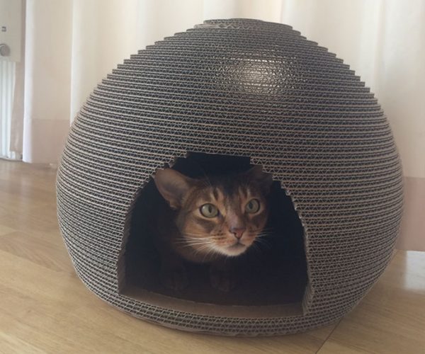 Corrugated Cardboard Cat House, Scratcher