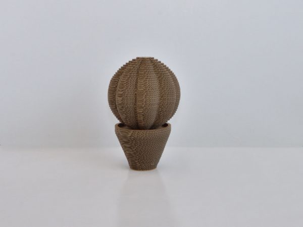 CactusRound Medium