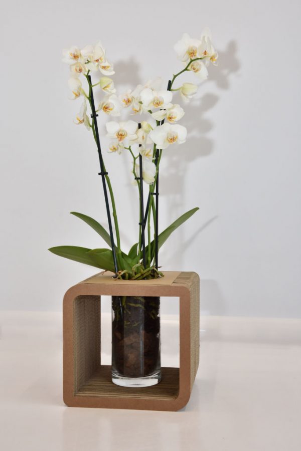 Cardboard Decorative Vase Holder Medium
