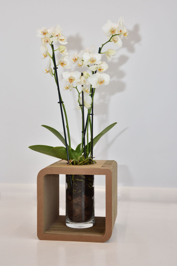 Cardboard Decorative Vase Holder Medium - More Cardboard ideas on