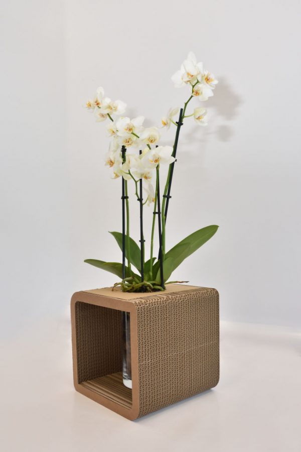 Cardboard Decorative Vase Holder Medium - Image 2