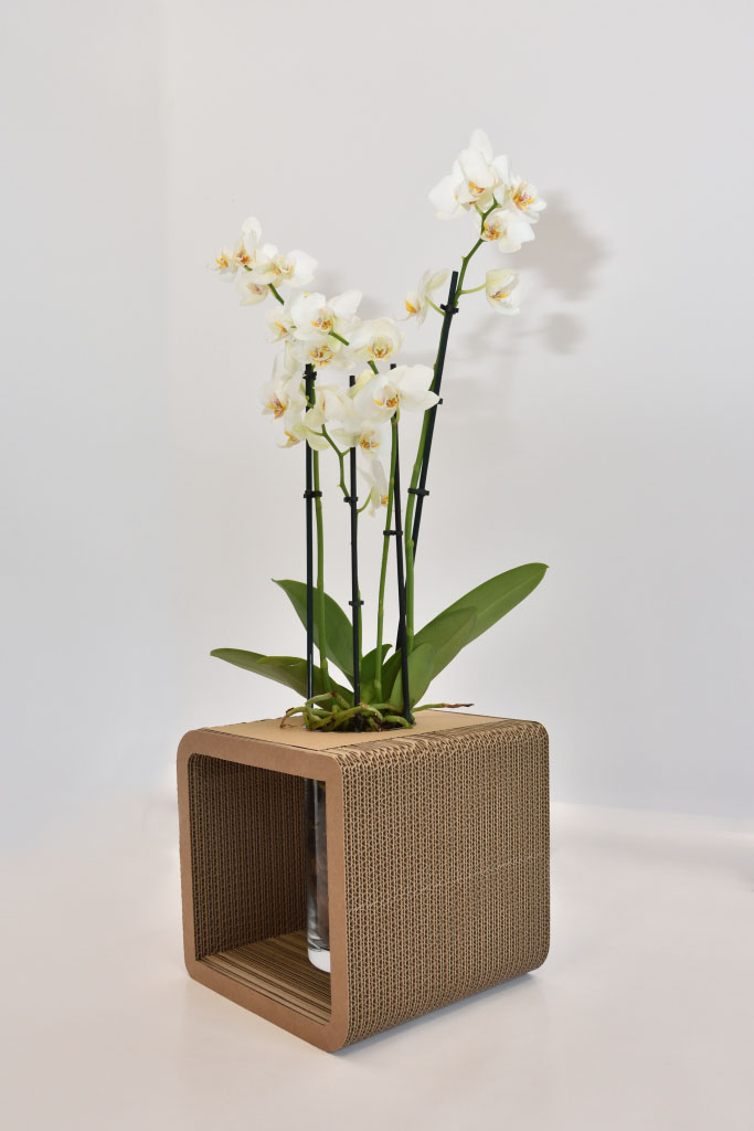 Cardboard Decorative Vase Holder Medium - Image 2