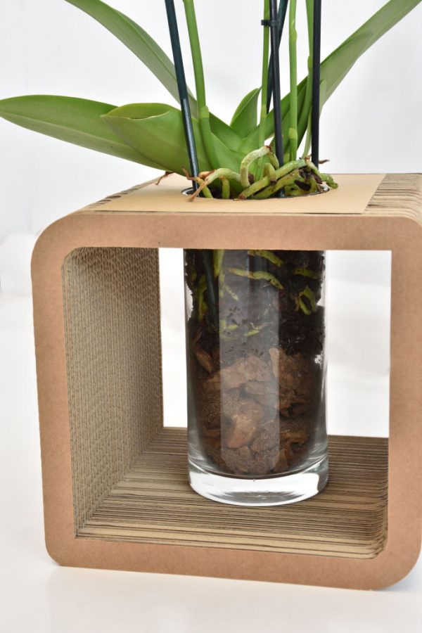 Cardboard Decorative Vase Holder Medium - Image 3