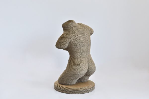 Cardboard 3D Woman Torso 50 - Image 6