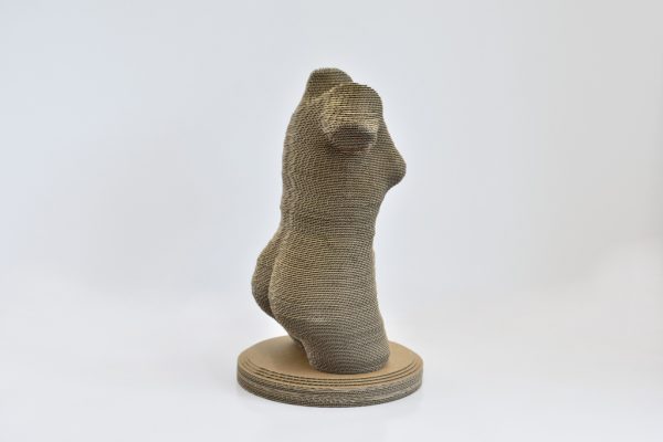 Cardboard 3D Woman Torso 50 - Image 5